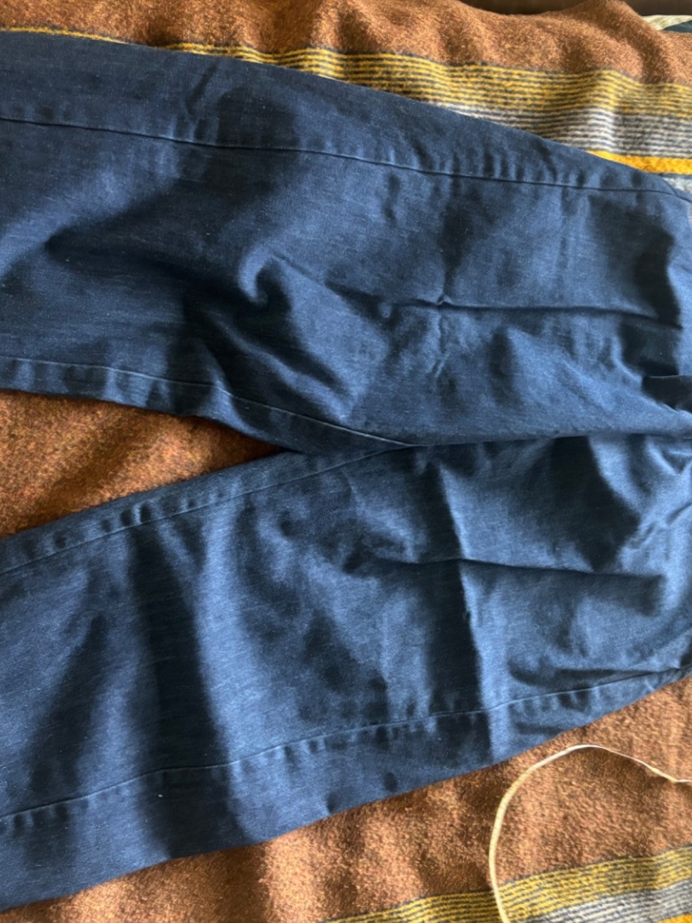 Le Bon Shoppe - Denim Arc pants